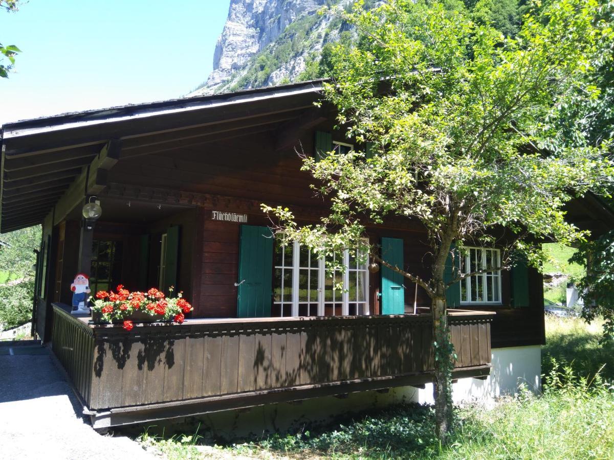 שטכלברג Ferien Cottage Flueehblueemli מראה חיצוני תמונה